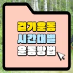 걷기 운동 시간대 별 운동 썸네일