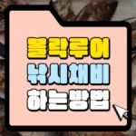 볼락-루어낚시-채비하는-방법-썸네일