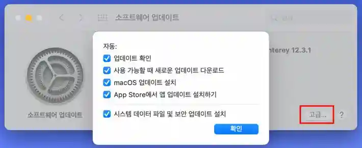 소프테웨어 업데이트 최신으로 유지 체크 후 고급을 눌러 항목 선택