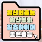 엽산의-효능-임산부와-알치흐이머에-좋은-효능-썸네일