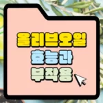 올리브오일-효능과-부작용-썸네일