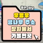 우영우 팽나무 주소 창원 가볼만 한 곳 썸네일