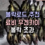 볼락 로드 추천 료비 무겐카이 썸네일