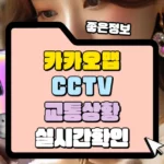 카카오맵 CCTV 교통상황 실시간 확인 섬네일