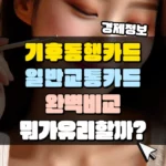 기후동행카드 일반 교통카드 완벽 비교 분석 썸네일