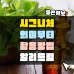 시그니처의 의미와 활용 방법 썸네일