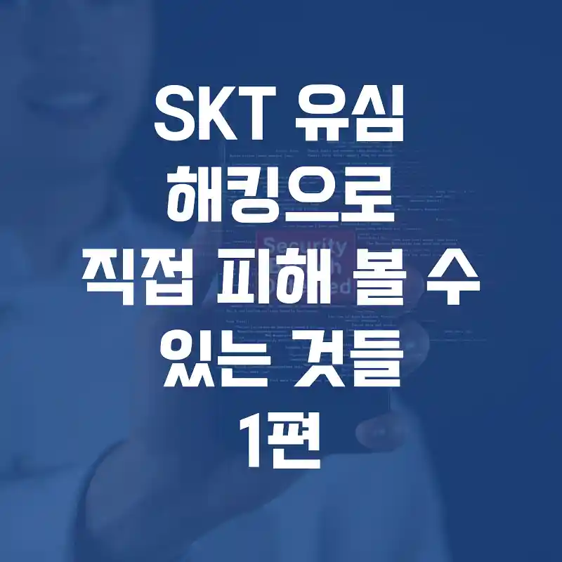 SKT 유심 해킹으로 직접 피해 볼 수 있는 것들 [1편] | 매일 매일 꽃길만 걸으세요.