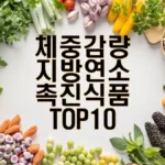 체중 감량 지방 연소 촉진 식품 top10 섬네일