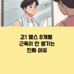 폭식 없이 살 찌우는 벌크업 루틴 정리 섬네일