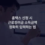 홈택스 신청 시 근로장려금 소득금액정확히 입력하는 법 섬네일